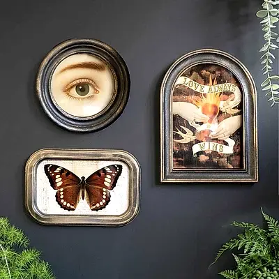 Three framed artworks on a black wall styled with various plants.