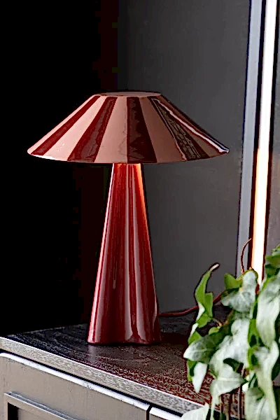 A spotted rechargeable table lamp styled on a shelf with some books and greenery. 