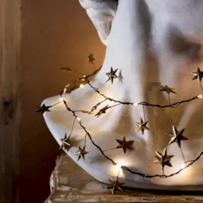 Lightbulbs & Fairy Lights