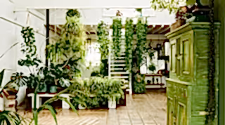 Image of the glorious Clapton Tram. A stunning light filled home featuring 100's of plants and a green dresser. 