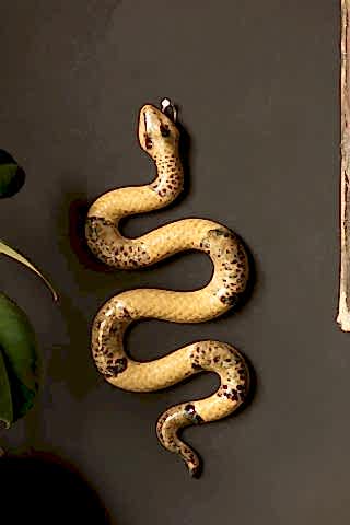 Close-up of the Ceramic Snake Wall Art displayed on a black wall, with a plant to the side of the shot.