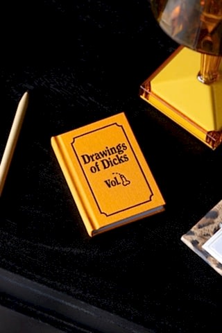 Lifestyle image of the Drawings of Dicks A7 Notebook