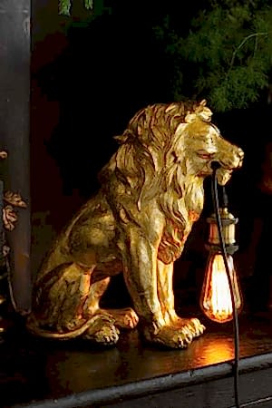 The Quirky Gold Lion Lamp switched on and displayed on a black sideboard with some greenery.