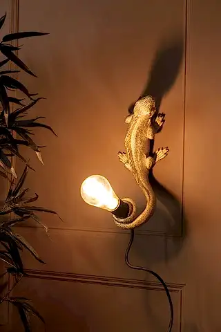 Lifestyle Image of the Gold Lizard Table/Wall Light