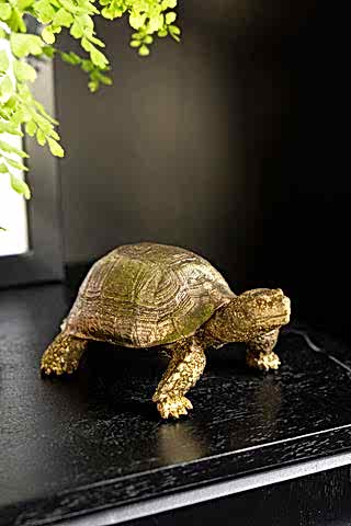 The Gold Tortoise Ornament displayed on a black wooden surface.