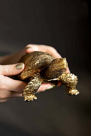 The Gold Tortoise Ornament held in someone's hands.