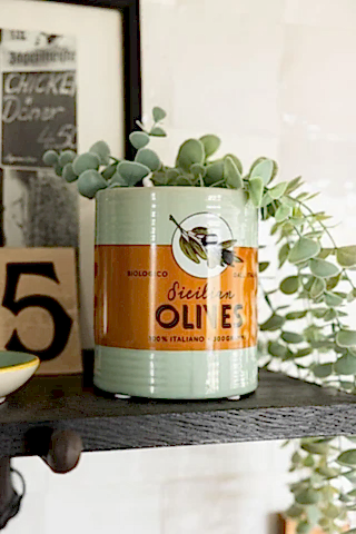 Green plant pot with an orange band with 'sicilian olives' inprinted on the front.