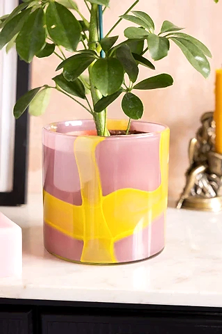 The Pink & Yellow Abstract Glass Vase shown as a plant pot with a leafy green plant. 