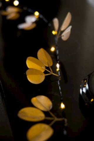 Lifestyle image of the Gold Eucalyptus Fairy Lights