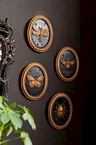 The Set of 4 Black & Gold Entomology Wall Art styled against a black wall.