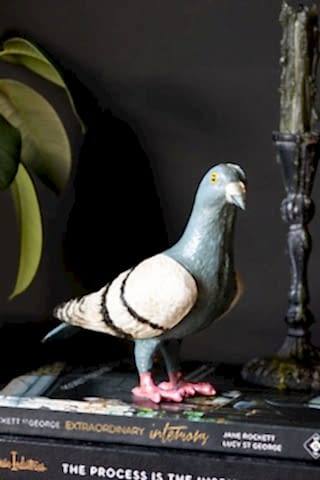 The Quirky Pigeon Ornament styled on some books next to a plant and candlestick holder.