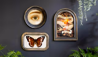 Three decorative framed pieces of wall art styled on a black wall surrounded by greenery.