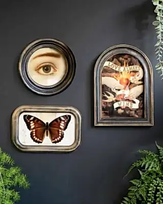 Three framed decorative wall art pieces displayed on a dark charcoal wall with green plants around them. The left piece is a round frame showing a close-up of a human eye.